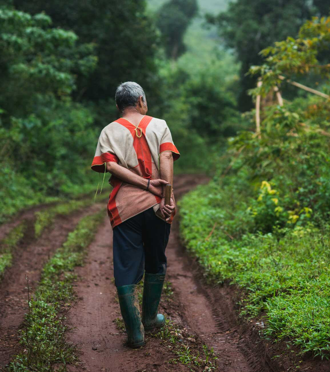 Man walking in forest