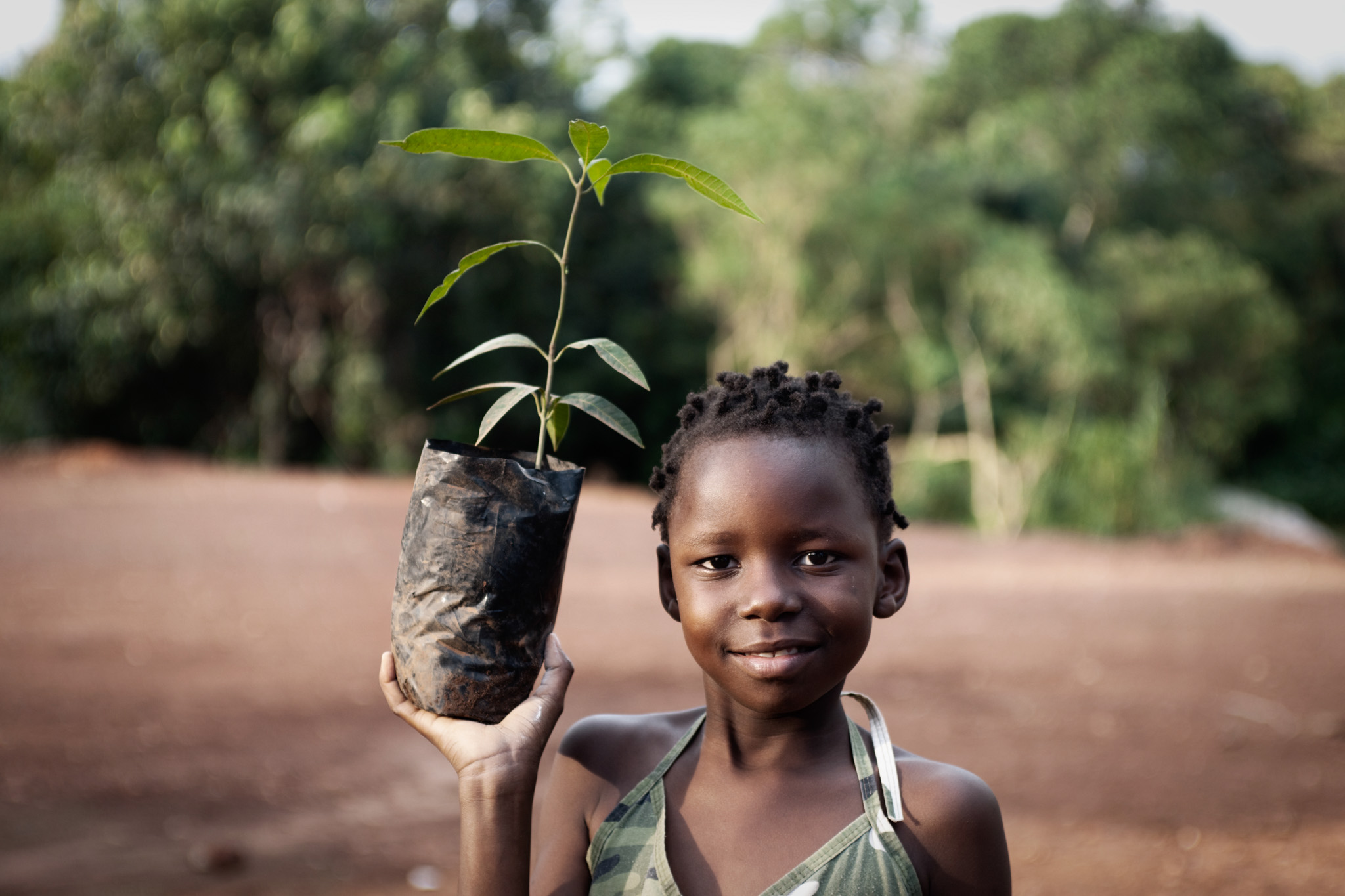 African girl planting mango tree