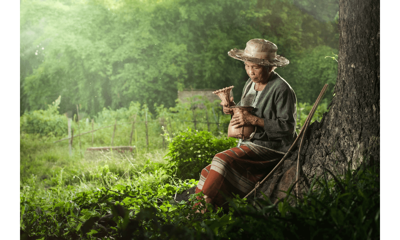 Asian grandmother fisherman with the net